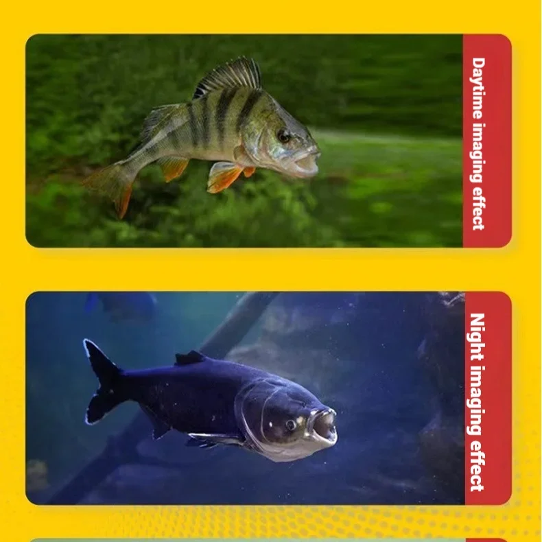 Cámara de Pesca Submarina con  - Fish Finder Portable reseña y precio